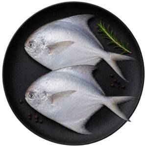 Pomfret (Medium Size)