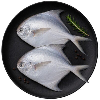 Pomfret (Medium Size)